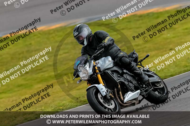 PJ Motorsport 2019;anglesey no limits trackday;anglesey photographs;anglesey trackday photographs;enduro digital images;event digital images;eventdigitalimages;no limits trackdays;peter wileman photography;racing digital images;trac mon;trackday digital images;trackday photos;ty croes